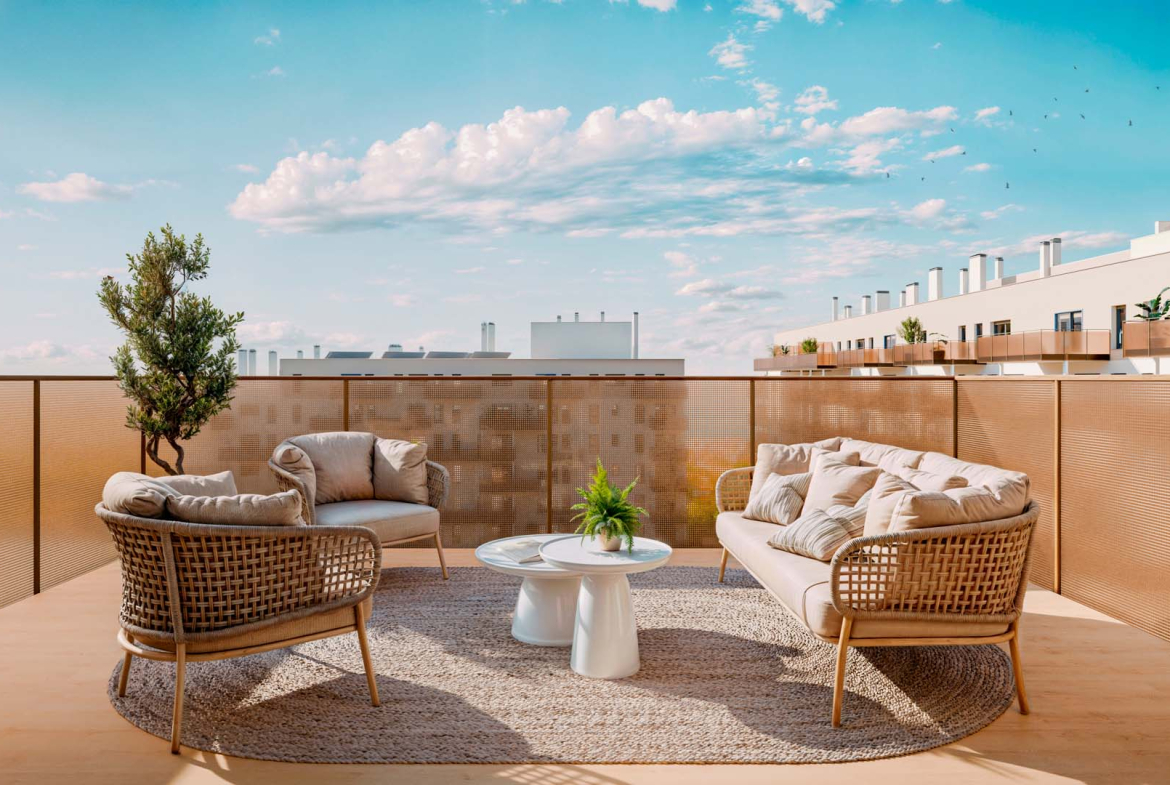 Terraza